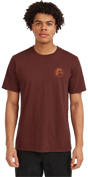 2025 O'Neill Hombres O'Riginals Camiseta Con Estampado Retro En La Espalda 2850316 - Hazel Spice